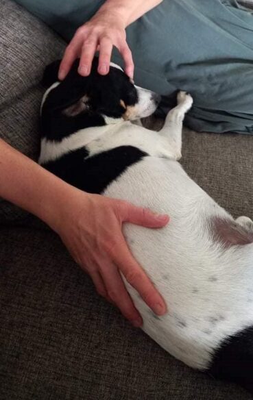 {{brizy_dc_image_alt imageSrc=